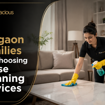House Cleaning Services